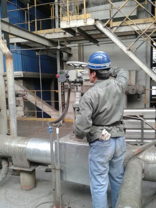 PP����(�й�)���Ź���