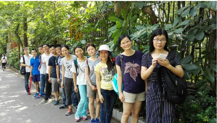 PP����(�й�)���Ź���