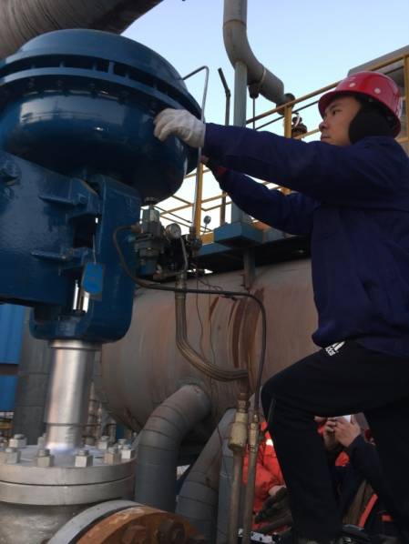 PP����(�й�)���Ź���