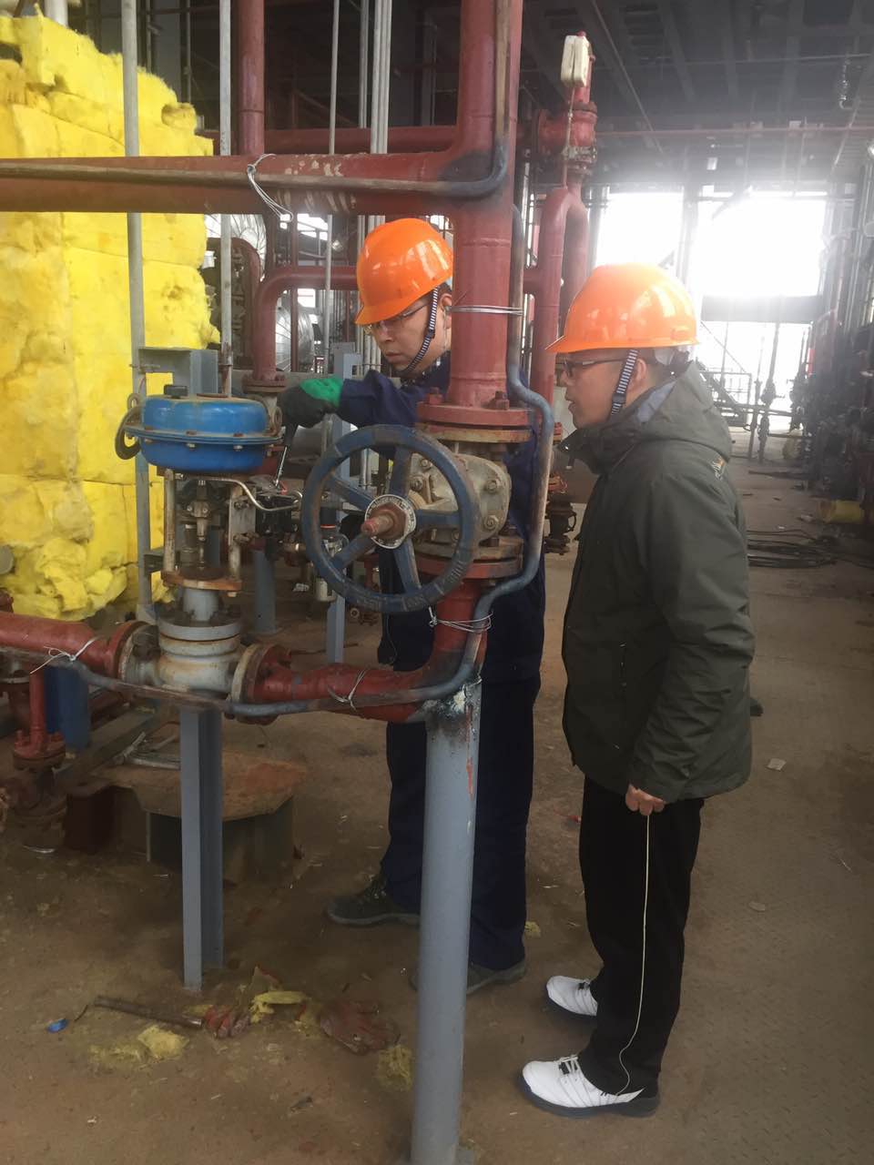 PP����(�й�)���Ź���