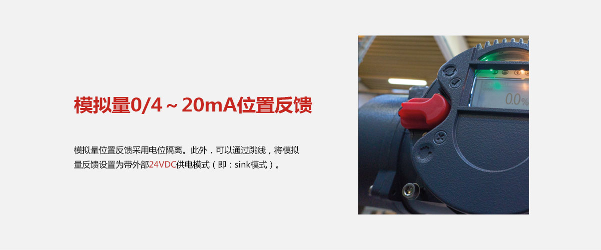 PP����(�й�)���Ź���