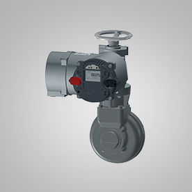 PP����(�й�)���Ź���