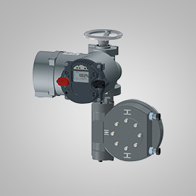 PP����(�й�)���Ź���