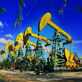 PP����(�й�)���Ź���