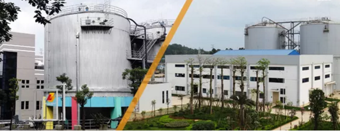 PP����(�й�)���Ź���