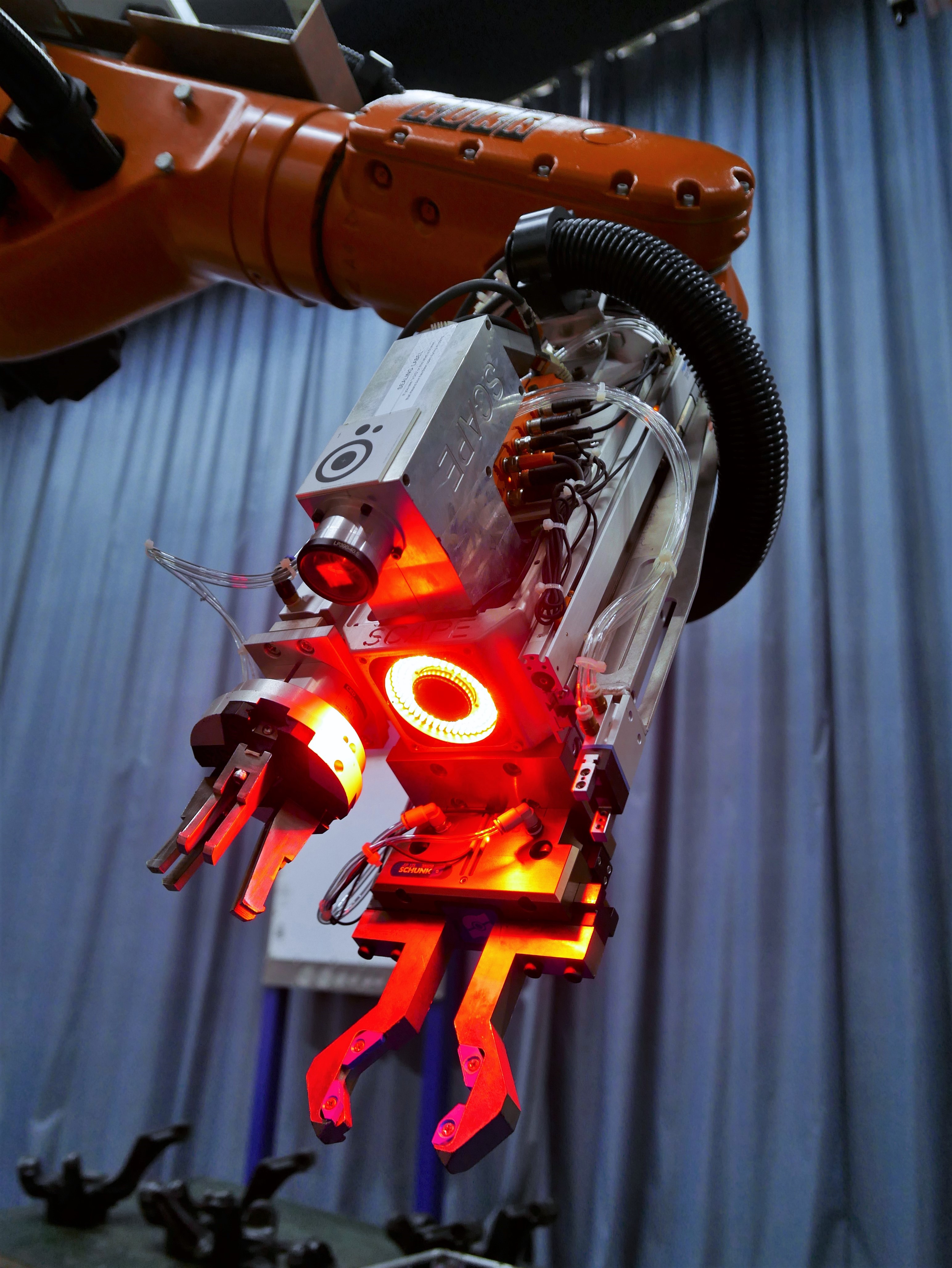 PP����(�й�)���Ź���