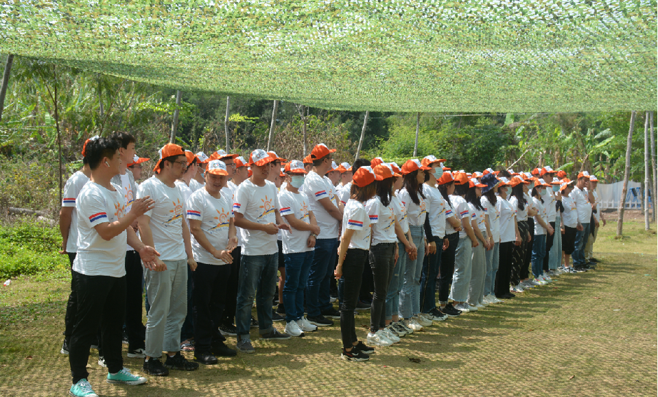 PP����(�й�)���Ź���