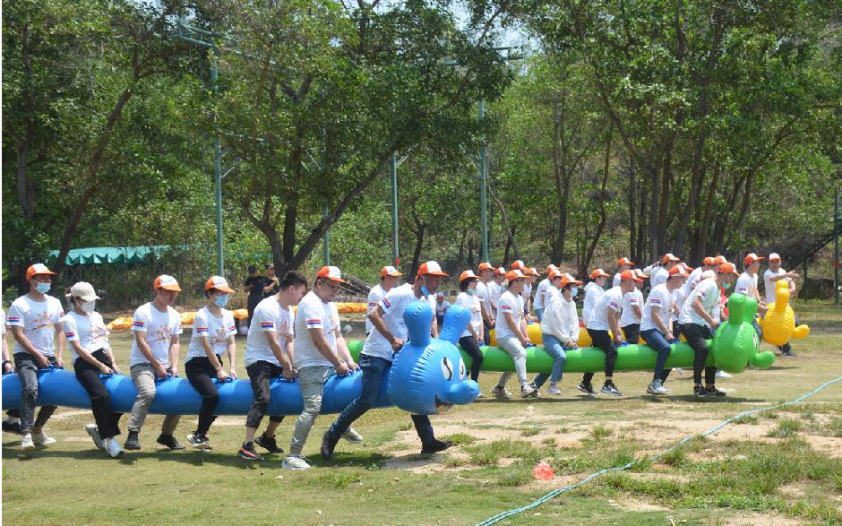 PP����(�й�)���Ź���