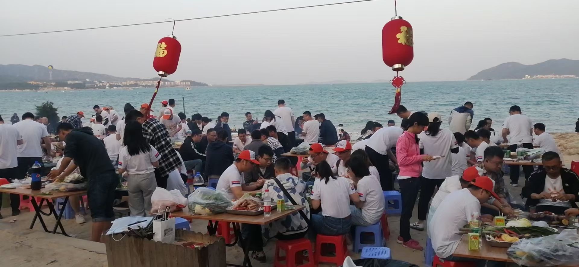 PP����(�й�)���Ź���