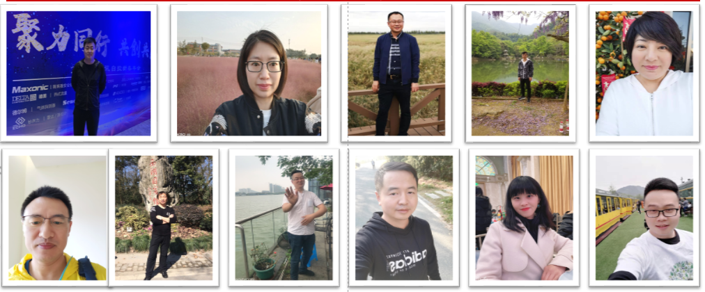 PP����(�й�)���Ź���