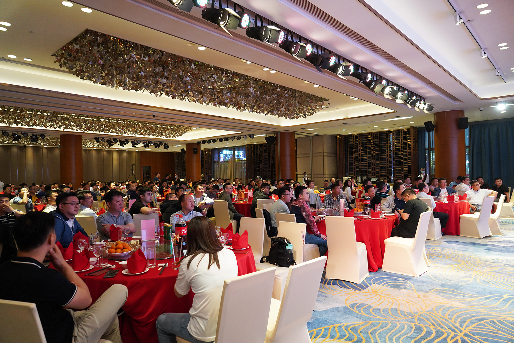 PP����(�й�)���Ź���