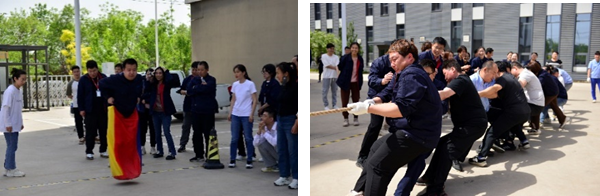 PP����(�й�)���Ź���