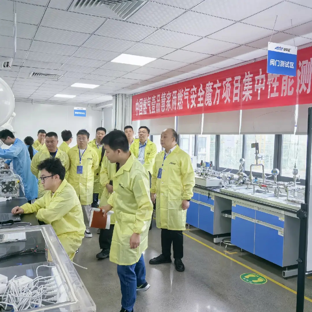 PP����(�й�)���Ź���