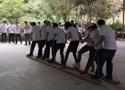 PP����(�й�)���Ź���