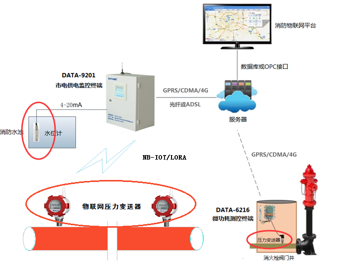 PP����(�й�)���Ź���