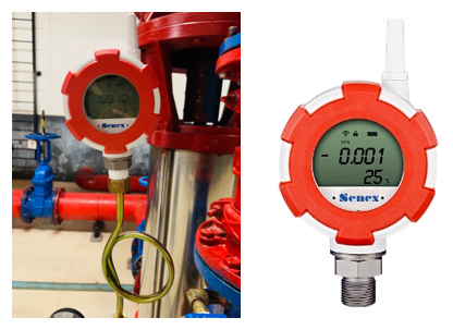 PP����(�й�)���Ź���