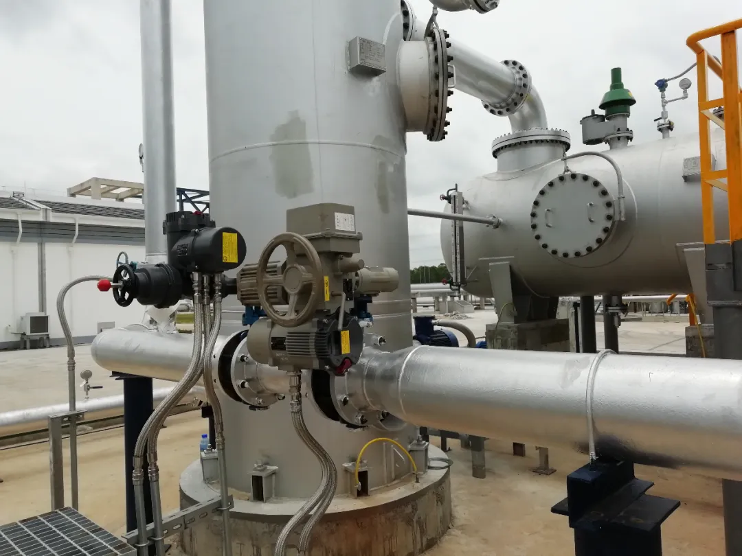 PP����(�й�)���Ź���