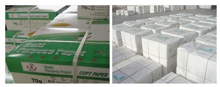 PP电子(中国)集团官网