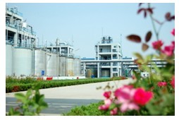 PP����(�й�)���Ź���