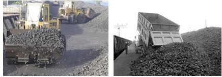 PP����(�й�)���Ź���